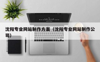 常宁沈阳专业网站制作方案（沈阳专业网站制作公司）